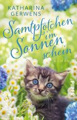 Samtpf&ouml;tchen im Sonnenschein