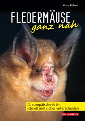 Flederm&auml;use ganz nah