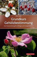 Grundkurs Geh&ouml;lzbestimmung