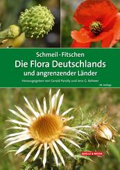 SCHMEIL-FITSCHEN Die Flora Deutschlands und angrenzender L&auml;nder