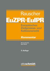 Europ&auml;isches Zivilprozess- und Kollisionsrecht EuZPR/EuIPR, Band IV/I