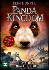 Panda Kingdom - D&uuml;sterer Drachenberg