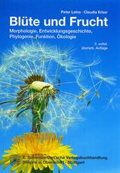 Bl&uuml;te und Frucht