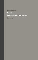 Werke und Nachla&szlig;. Kritische Gesamtausgabe