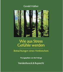 Wie aus Stress Gef&uuml;hle werden