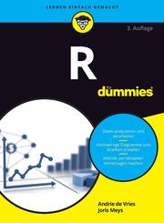 R f&uuml;r Dummies