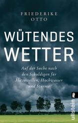 W&uuml;tendes Wetter