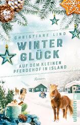Wintergl&uuml;ck auf dem kleinen Pferdehof in Island