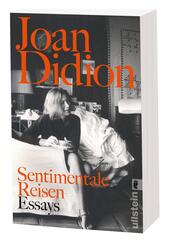 Sentimentale Reisen