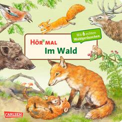H&ouml;r mal (Soundbuch): Im Wald