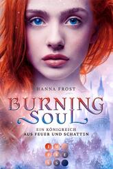 Burning Soul (Ein K&ouml;nigreich aus Feuer und Schatten 1)