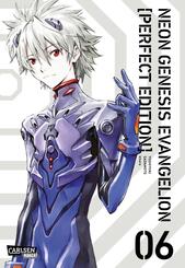 Neon Genesis Evangelion - Perfect Edition 6