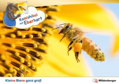 Kamishibai mit Eberhart - Kleine Biene ganz gro&szlig; - Set