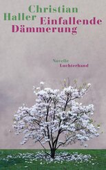 Einfallende D&auml;mmerung