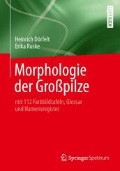 Morphologie der Gro&szlig;pilze