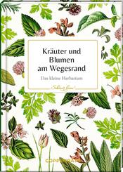 Kr&auml;uter und Blumen am Wegesrand