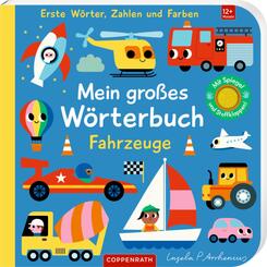 Mein gro&szlig;es W&ouml;rterbuch: Fahrzeuge