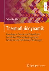 Thermofluiddynamik