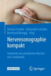 Nervensonographie kompakt, m. 1 Buch, m. 1 E-Book
