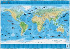 COLUMBUS Kinderweltkarte Welt der Wale