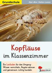 Kopfl&auml;use im Klassenzimmer