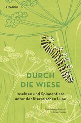 Durch die Wiese