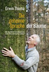 Die geheime Sprache der B&auml;ume