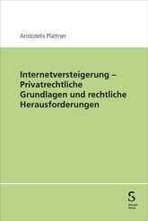 Internetversteigerung - Privatrechtliche Grundlagen und rechtliche Herausforderungen