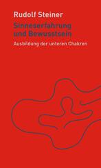 Sinneserfahrung und Bewusstsein