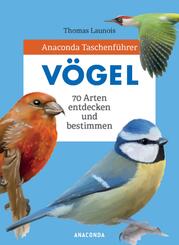 Anaconda Taschenf&uuml;hrer V&ouml;gel. 70 Arten bestimmen und entdecken