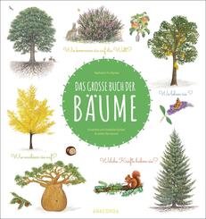 Das gro&szlig;e Buch der B&auml;ume