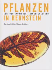 Pflanzen in Bernstein