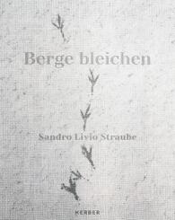 Sandro Livio Straube