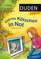 Kleines K&auml;tzchen in Not