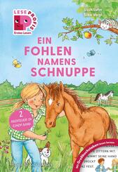 Leseprofis - Gro&szlig;buchstaben: Ein Fohlen namens Schnuppe, 1. Klasse