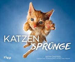 Katzenspr&uuml;nge