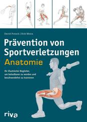 Pr&auml;vention von Sportverletzungen - Anatomie