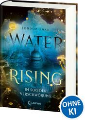 Water Rising (Band 2) - Im Sog der Verschw&ouml;rung
