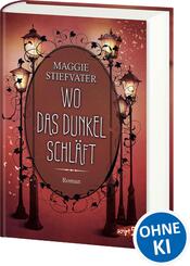 Wo das Dunkel schl&auml;ft (Band 4)