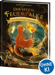 Der letzte Feuerfalke und das geheime Labyrinth (Band 10)