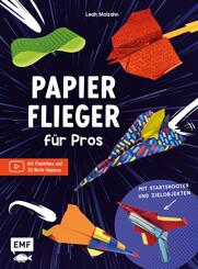 Papierflieger f&uuml;r Pros