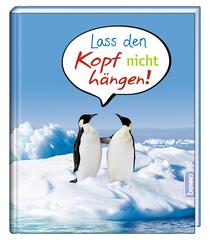 Lass den Kopf nicht h&auml;ngen!