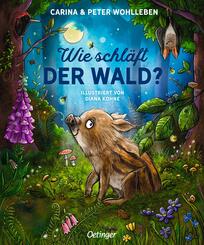 Wie schl&auml;ft der Wald?