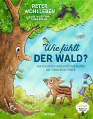 Wie f&uuml;hlt der Wald?