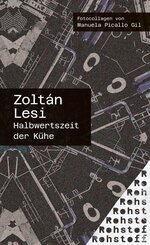 Halbwertszeit der K&uuml;he