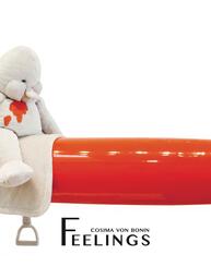 Cosima von Bonin. feelings
