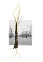 Giuseppe Penone. Thoughts in the Roots