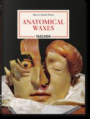 Anatomical Waxes