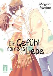 Ein Gef&uuml;hl namens Liebe 13