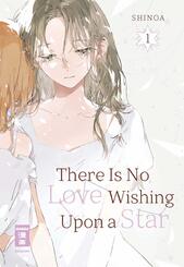 There Is No Love Wishing Upon a Star 01